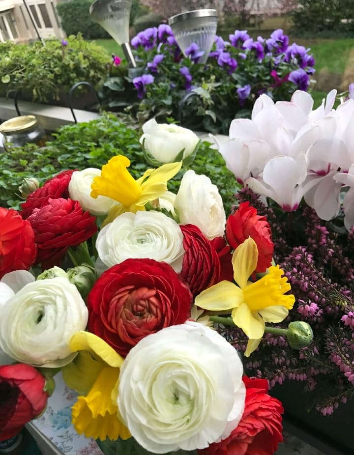 colorfulroses2