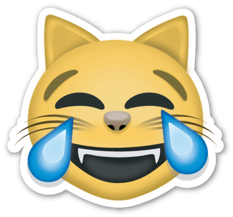 котик