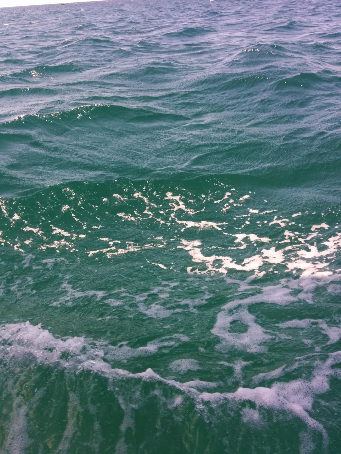 sea2