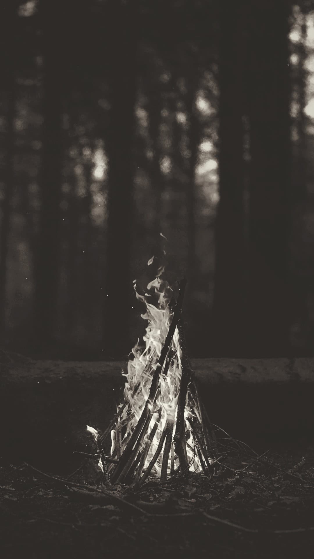 Fire