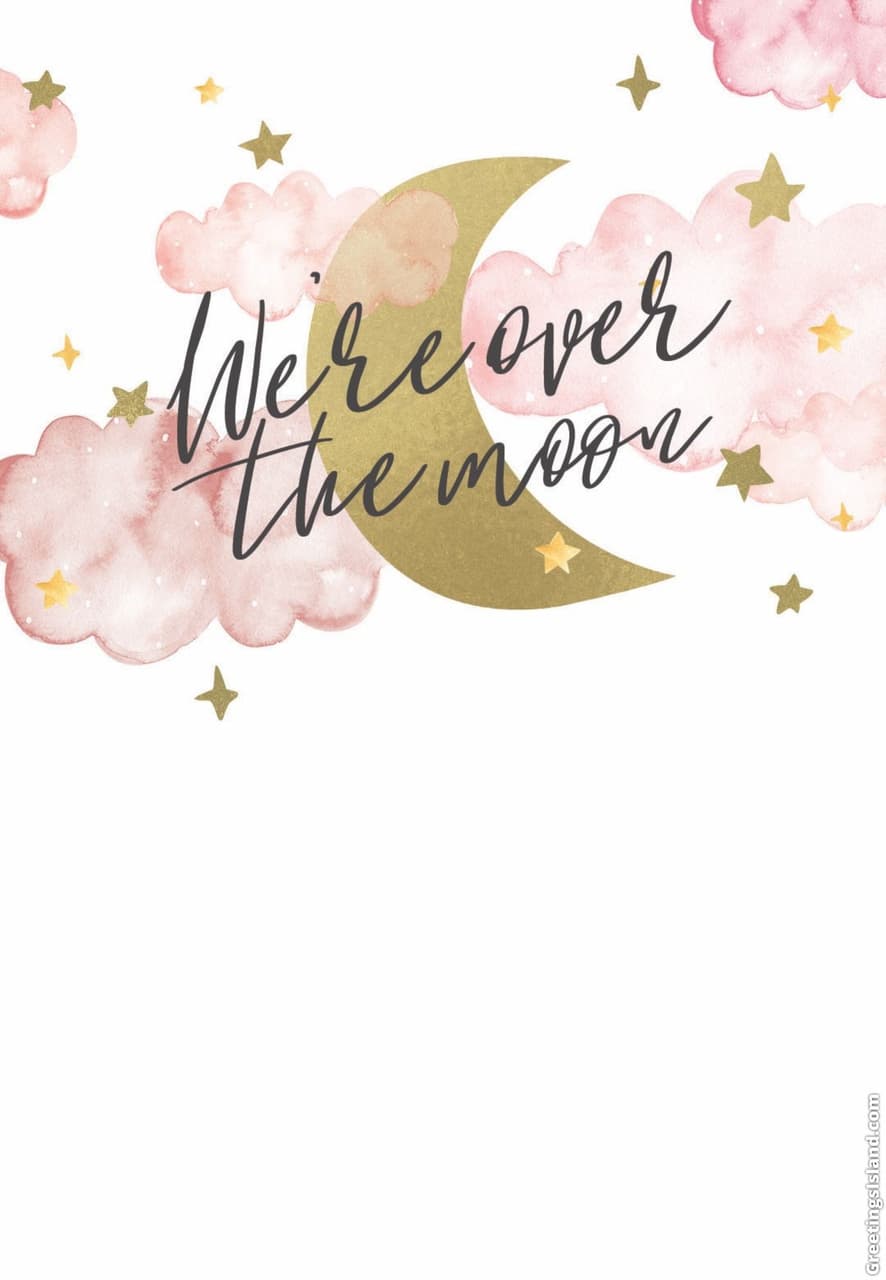 shimmer quotes