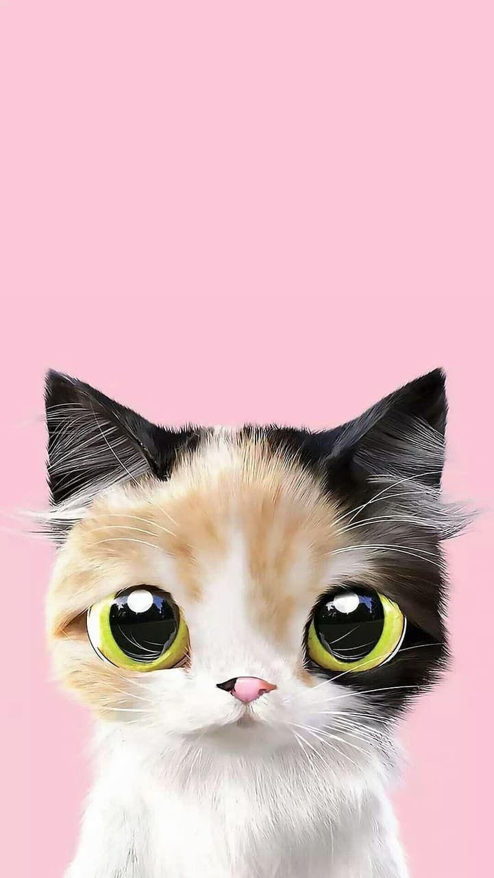 cute kitten