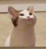 !