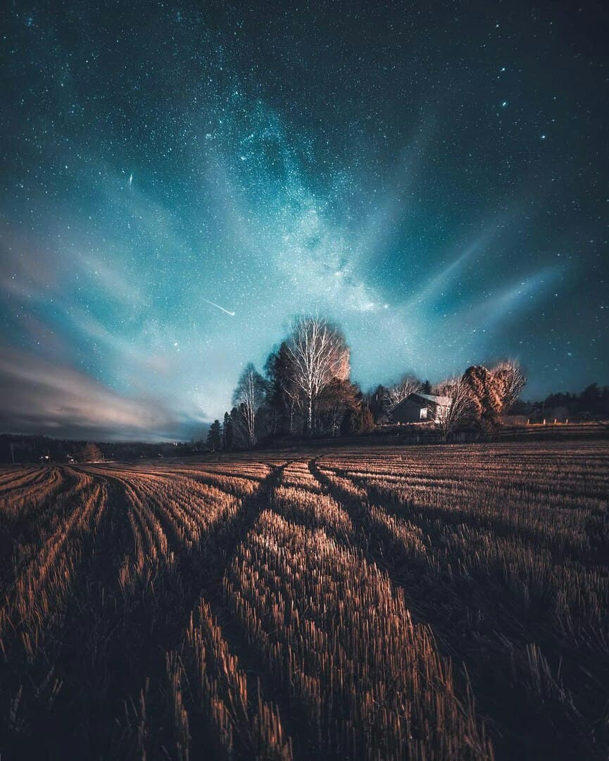 обои