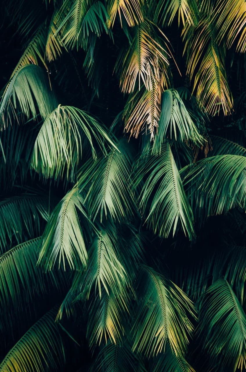 greenery
