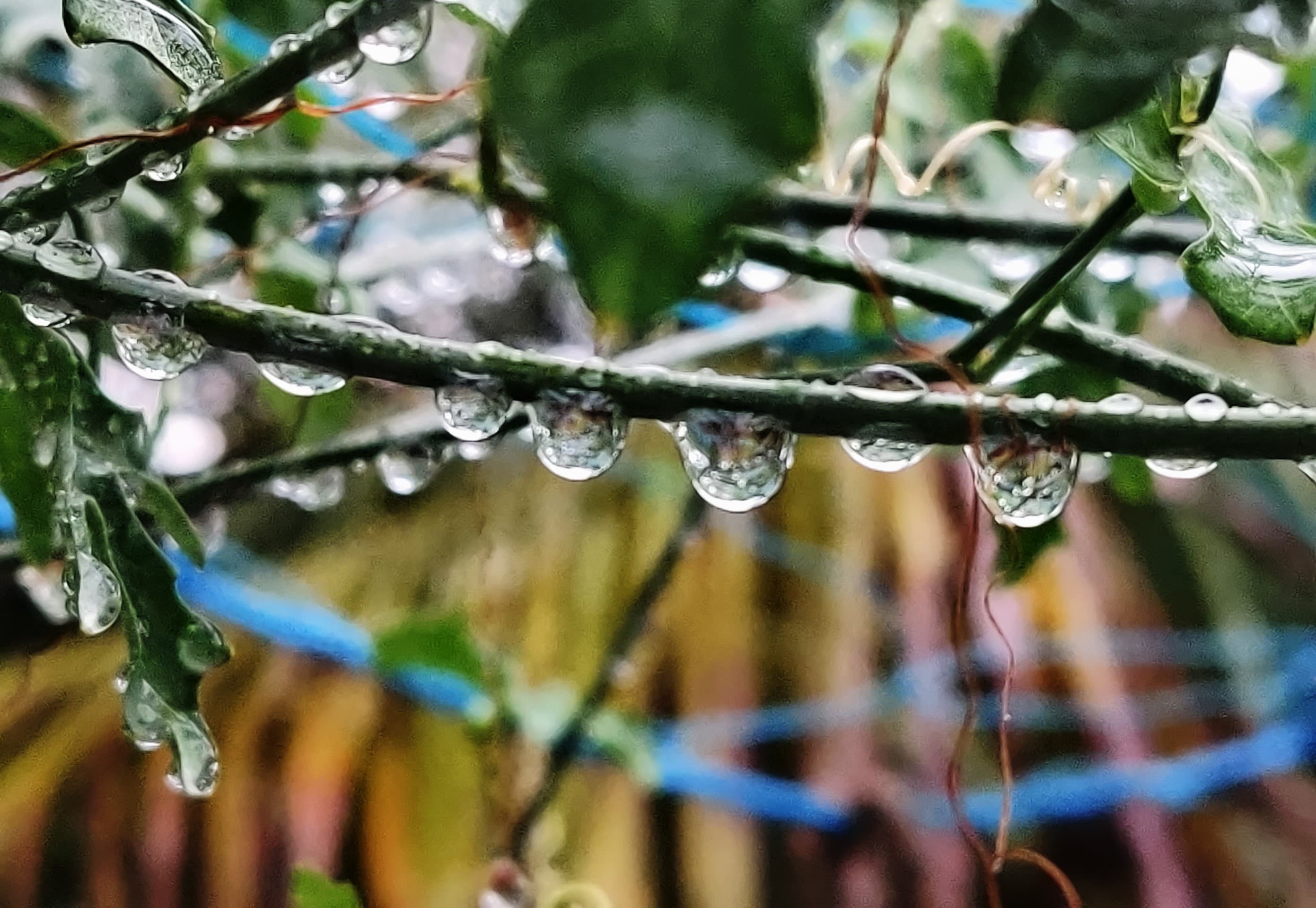 Rainy beads