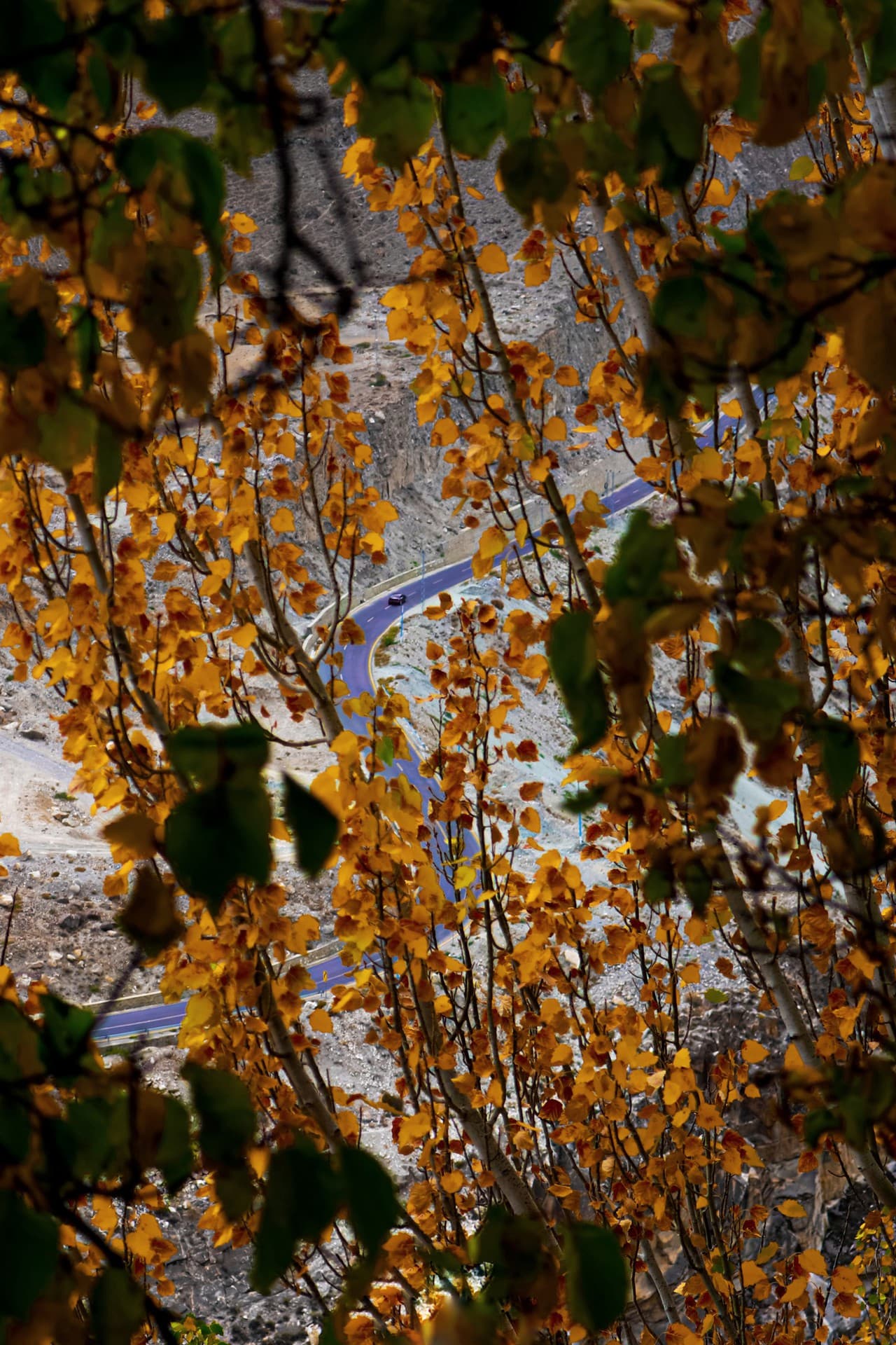 hunza Valley