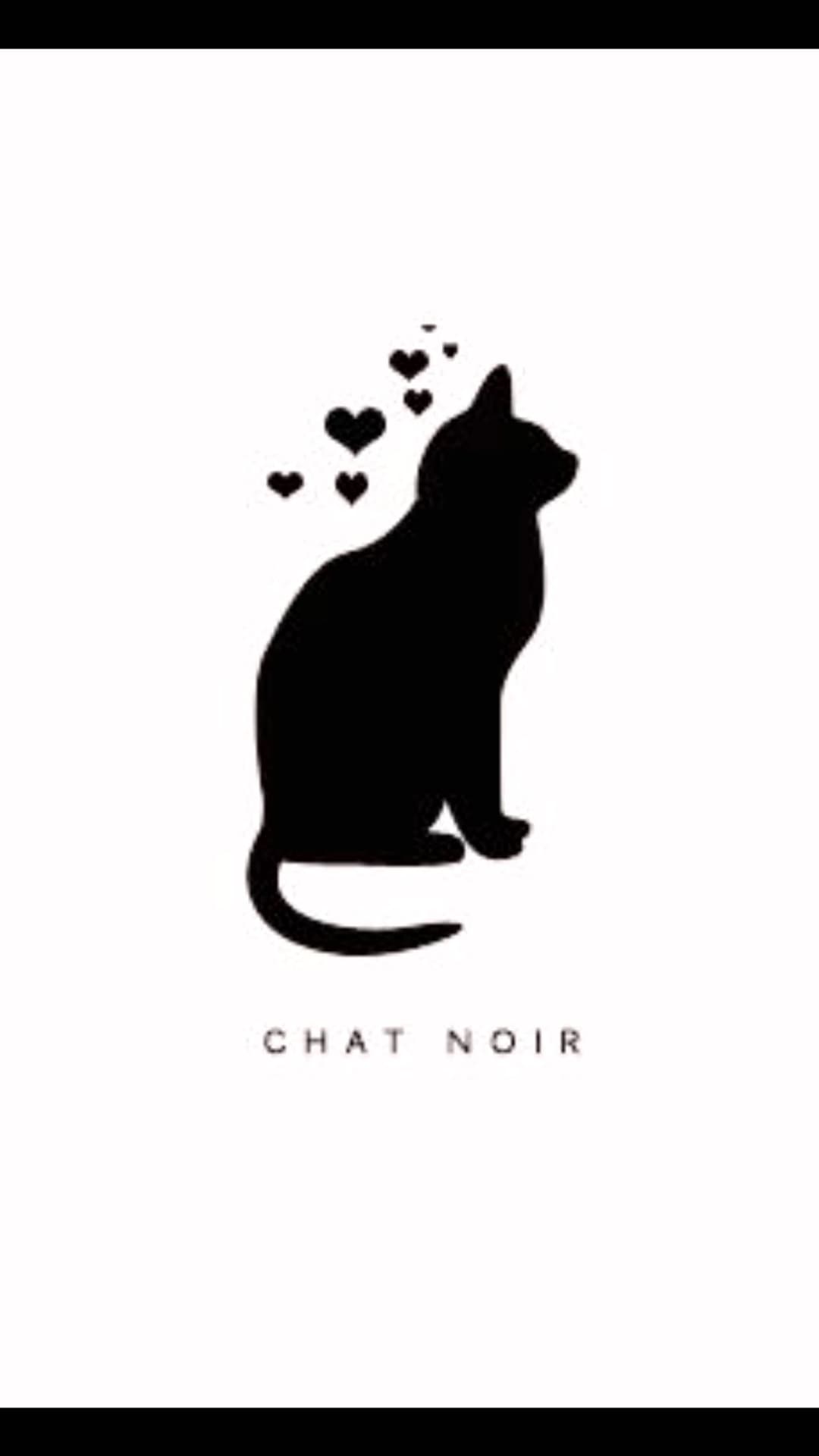 ~chat noir~