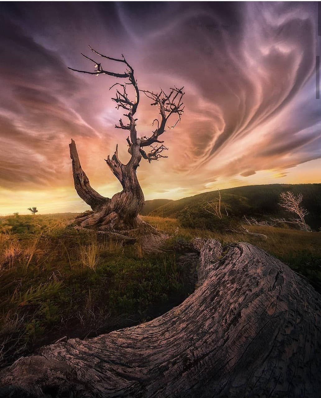 love # of # nature