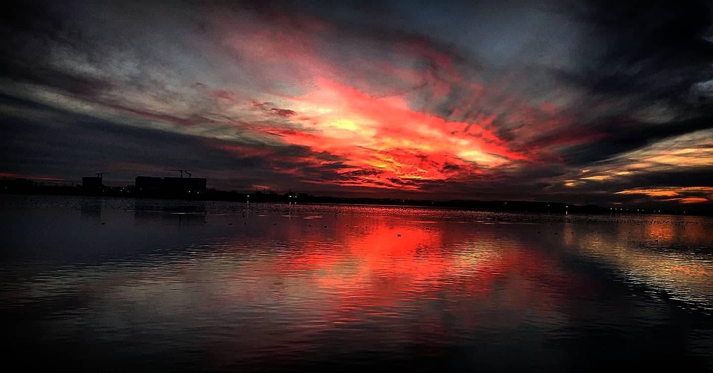 Sunshine