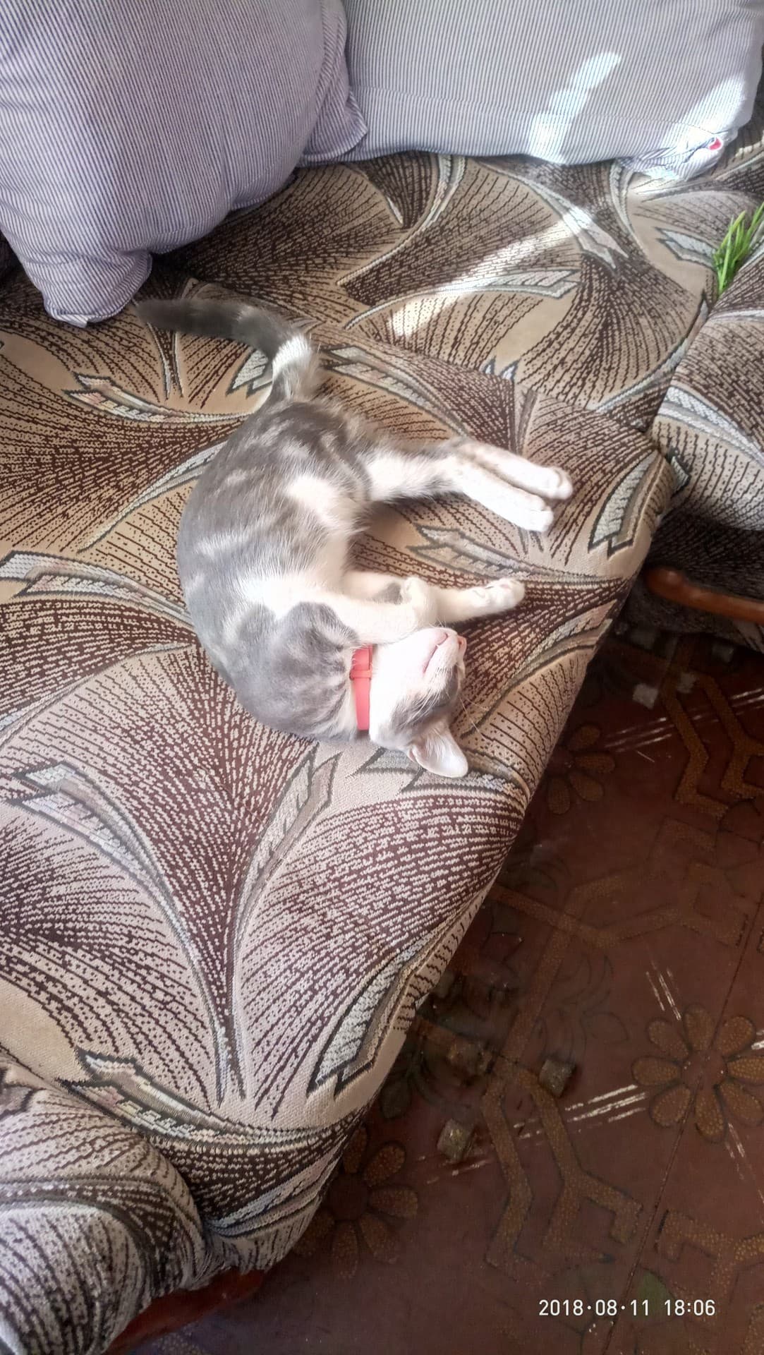 Жулик