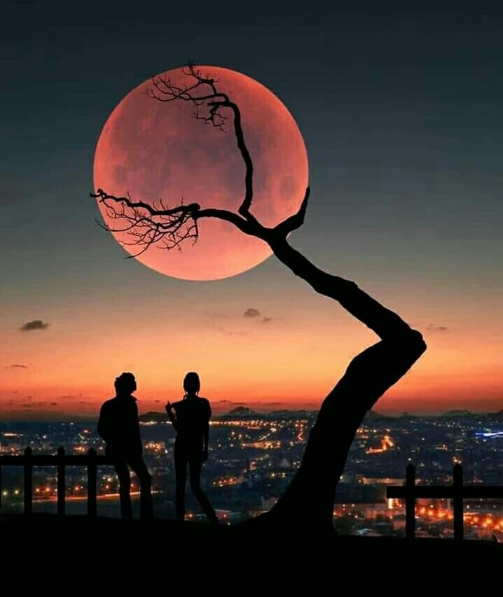 ❤❤❤❤