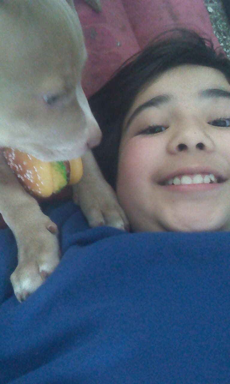 ese es perrito de mi 