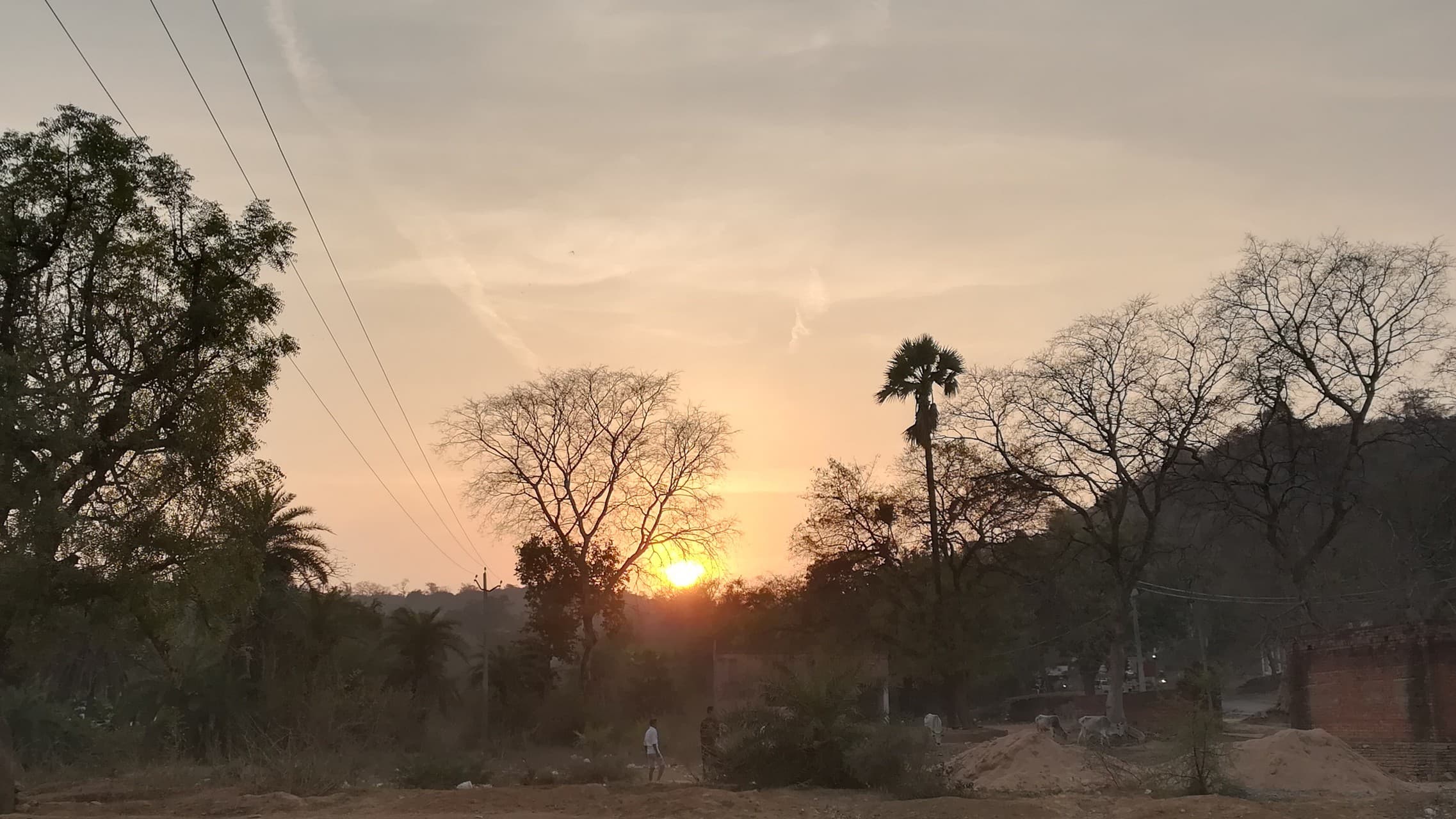 Beautiful Nature in Village