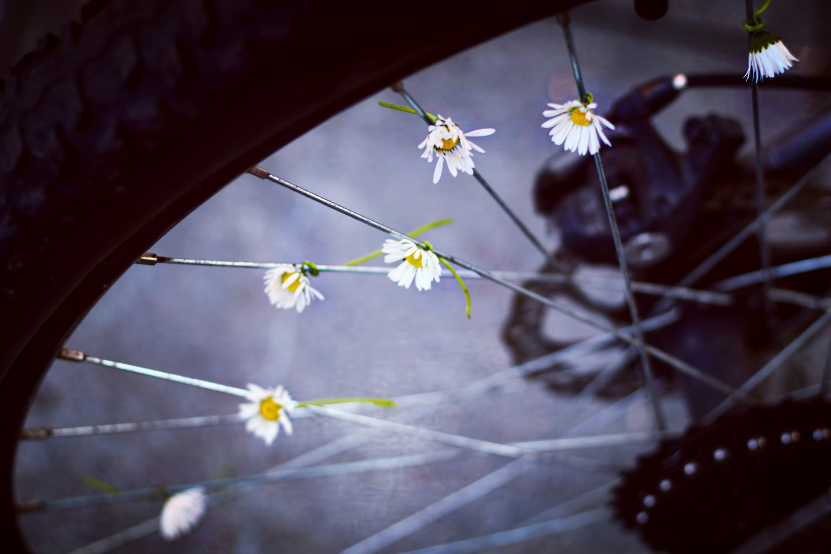 spring is outside