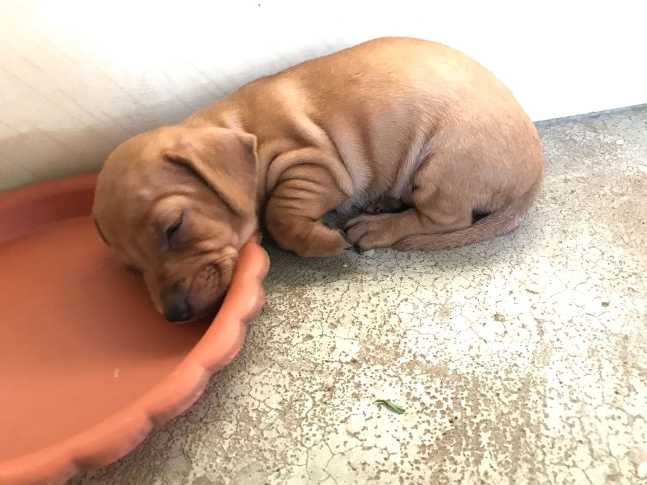 im so full is time for a nap