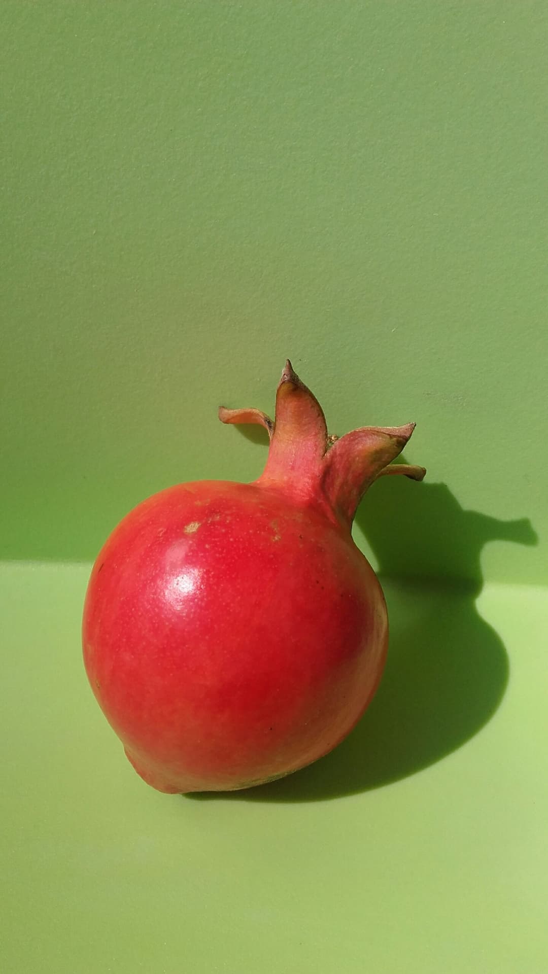Pomegranate