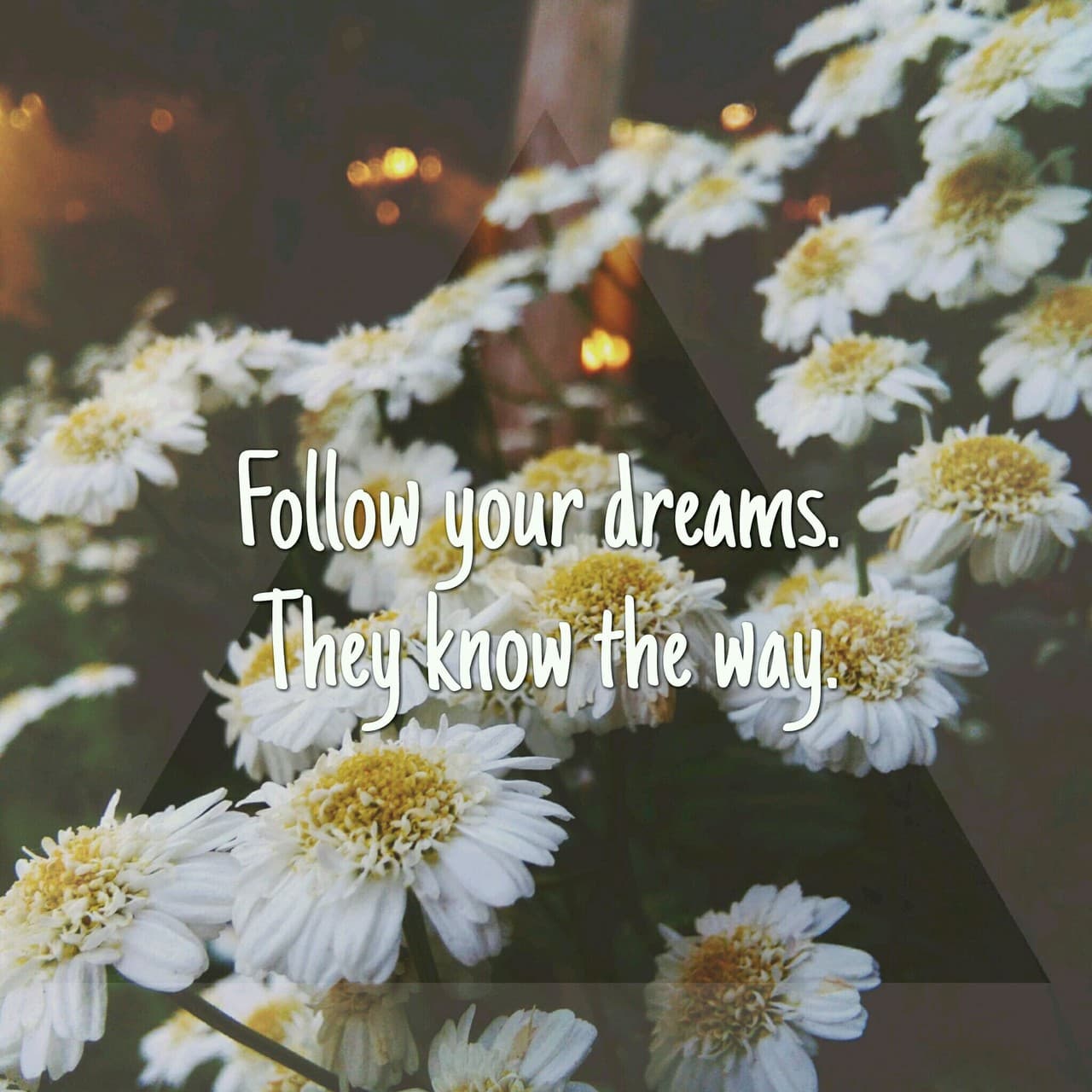 Follow your dreams.