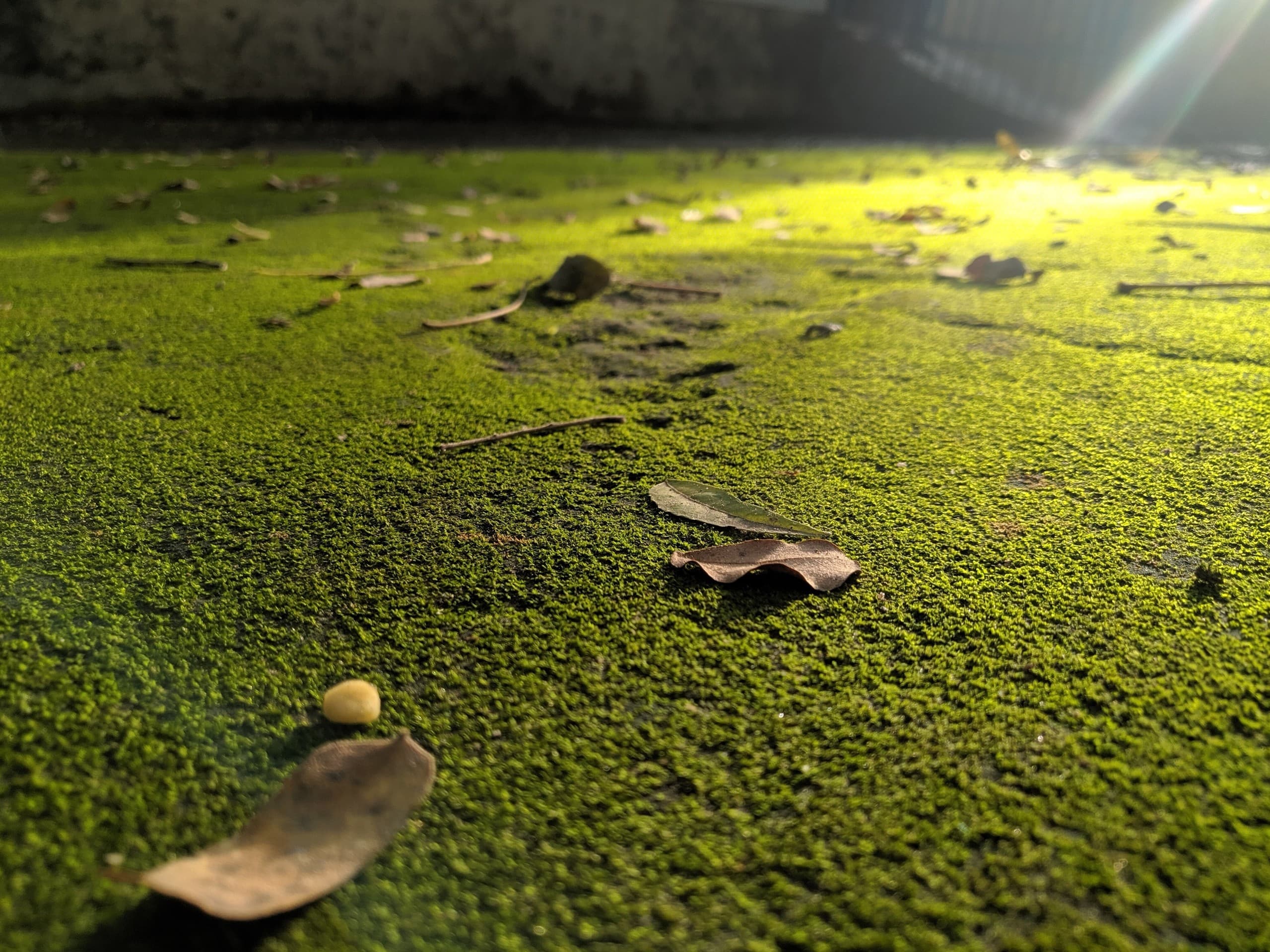 when sun kissed the earth
