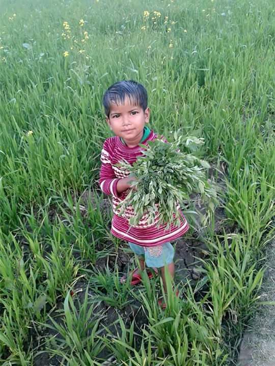 cute farmer