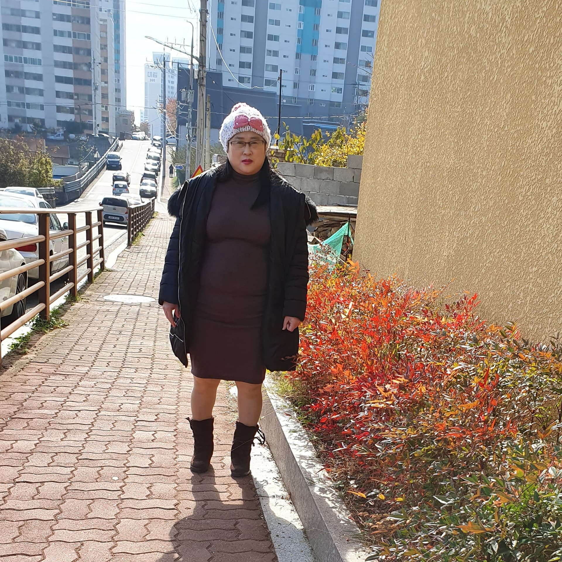 나뭇잎네사진