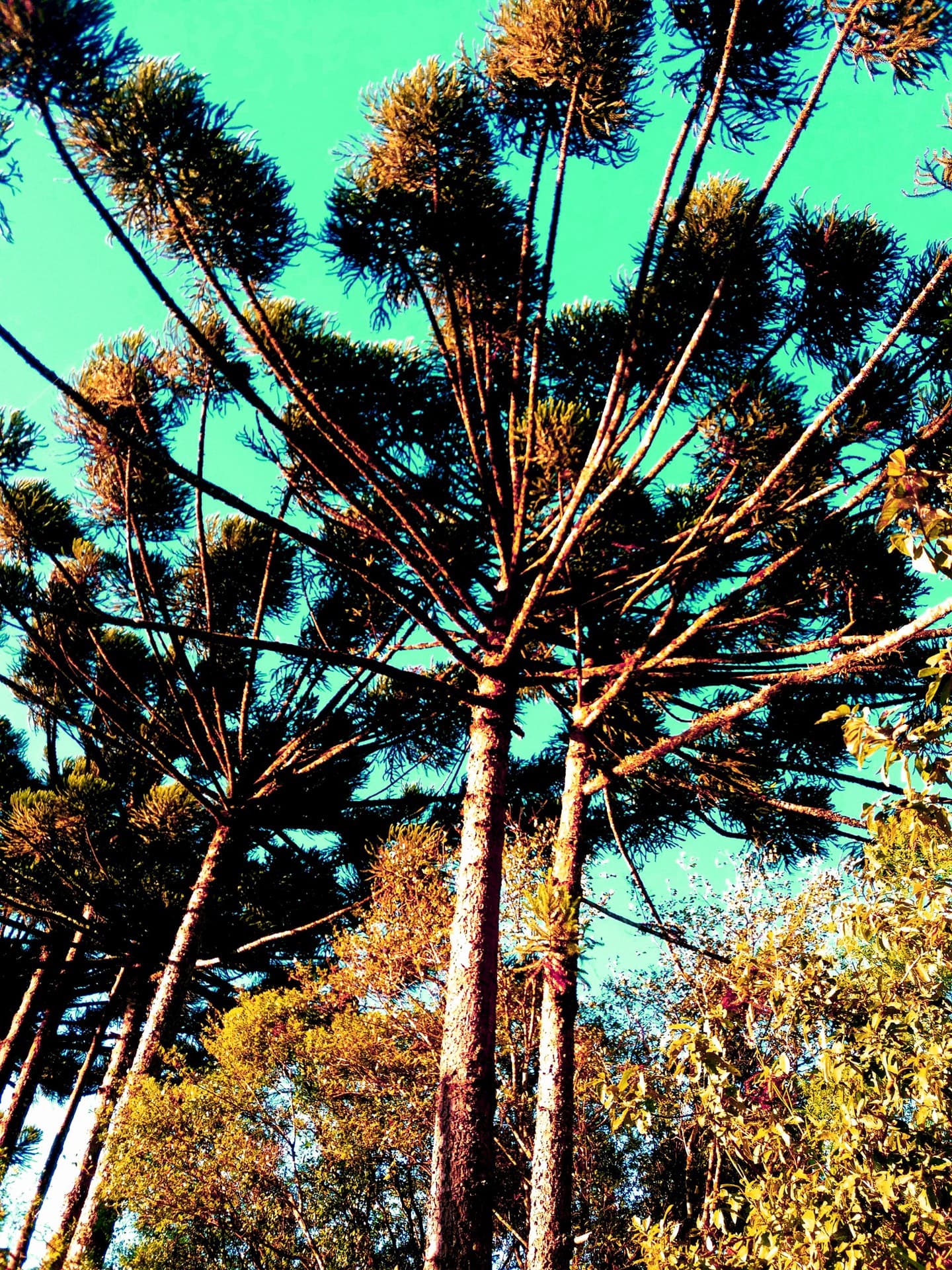 look up