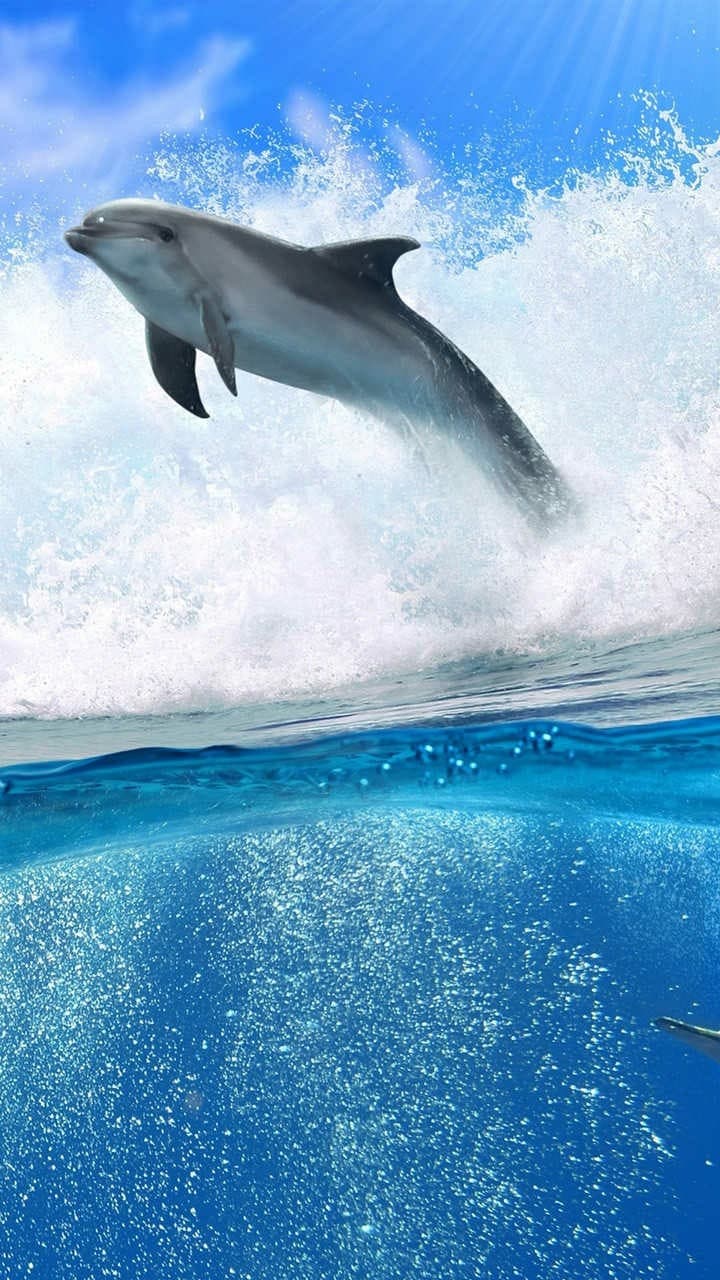 OGQ Backgrounds