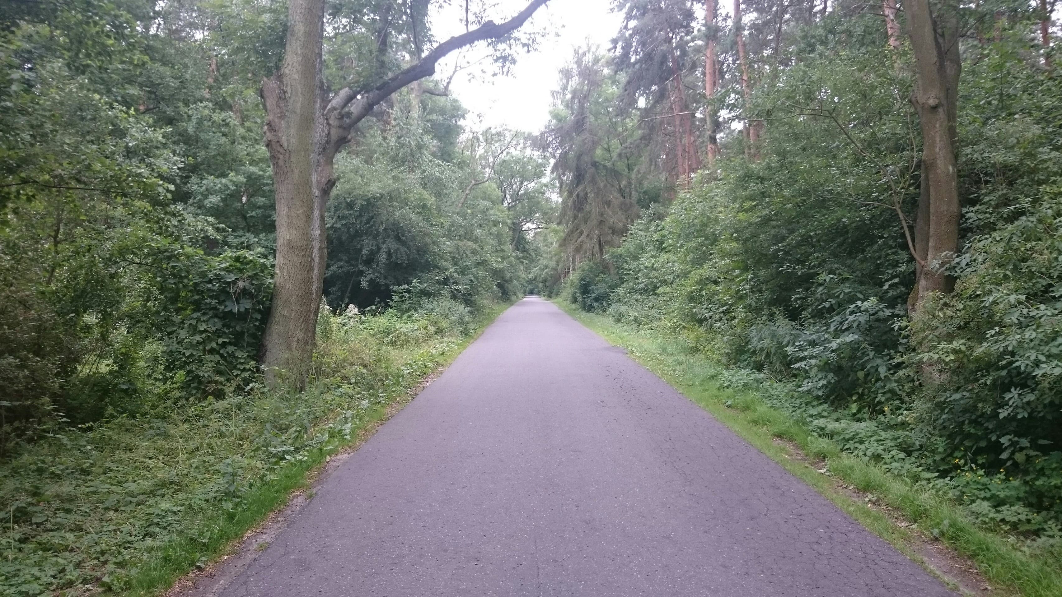 Road