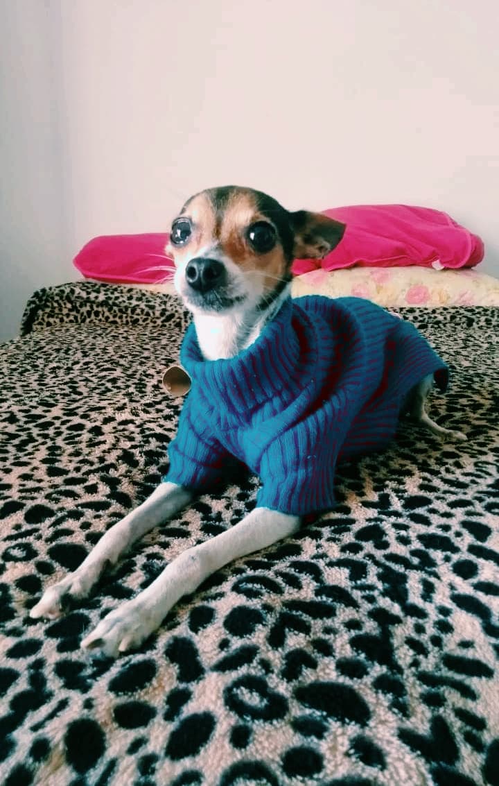 nenezinha