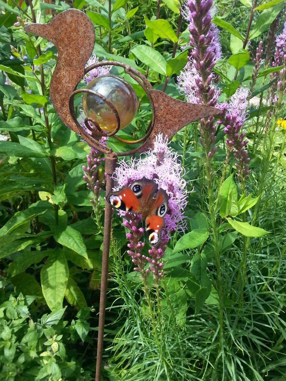 butterfly #2