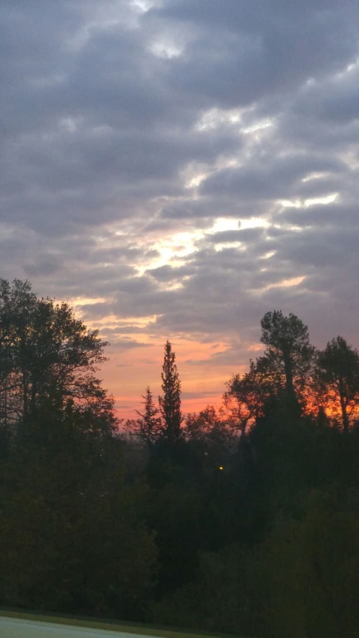 sunset