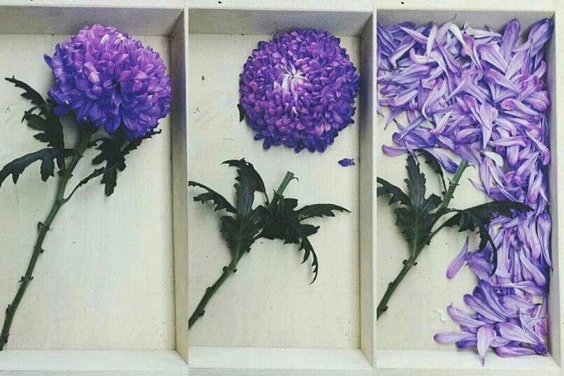 ~