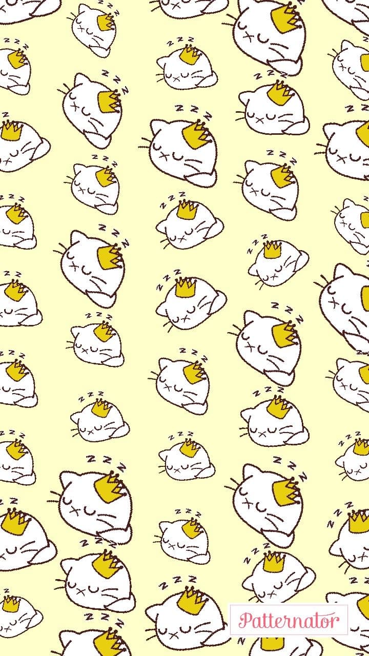 쿨쿨쿨  야옹이