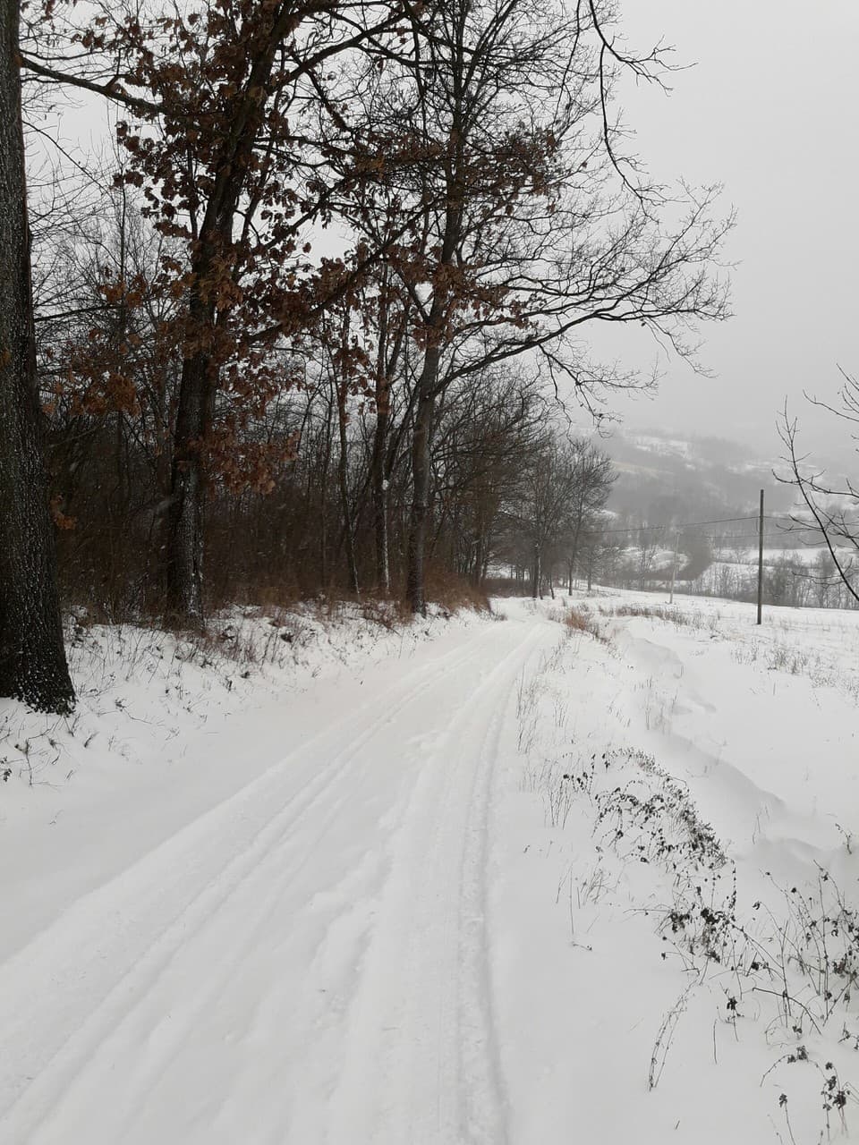 Snowstorm