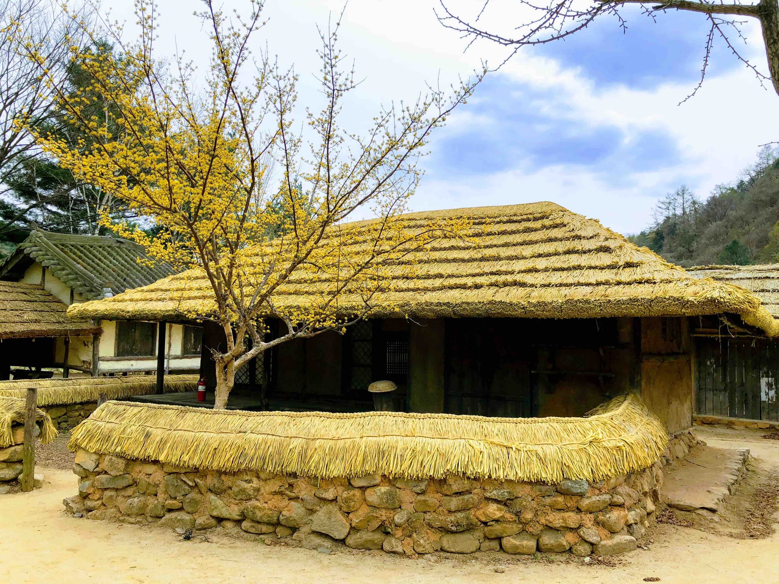 Korea Traditional House