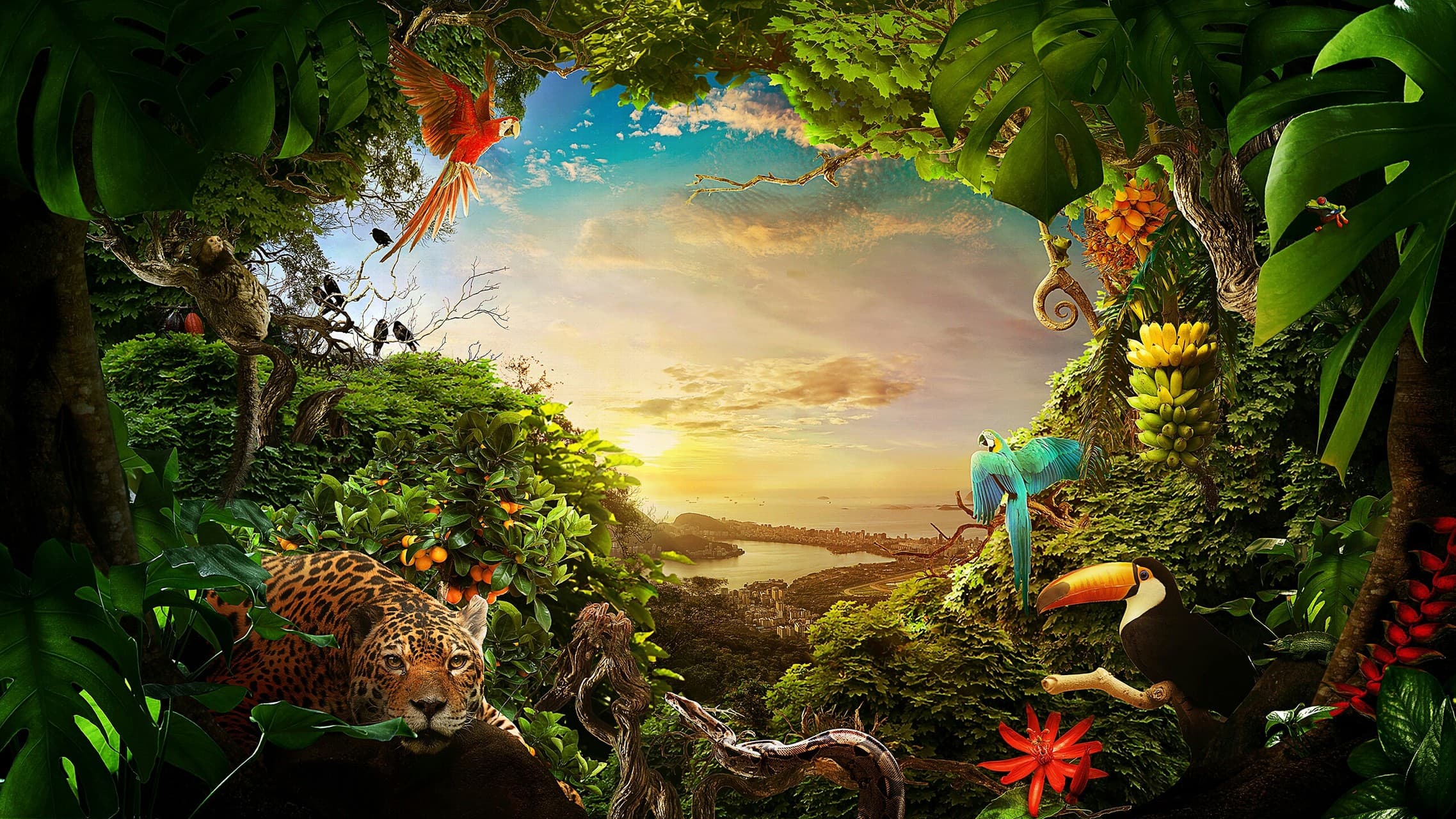 nature