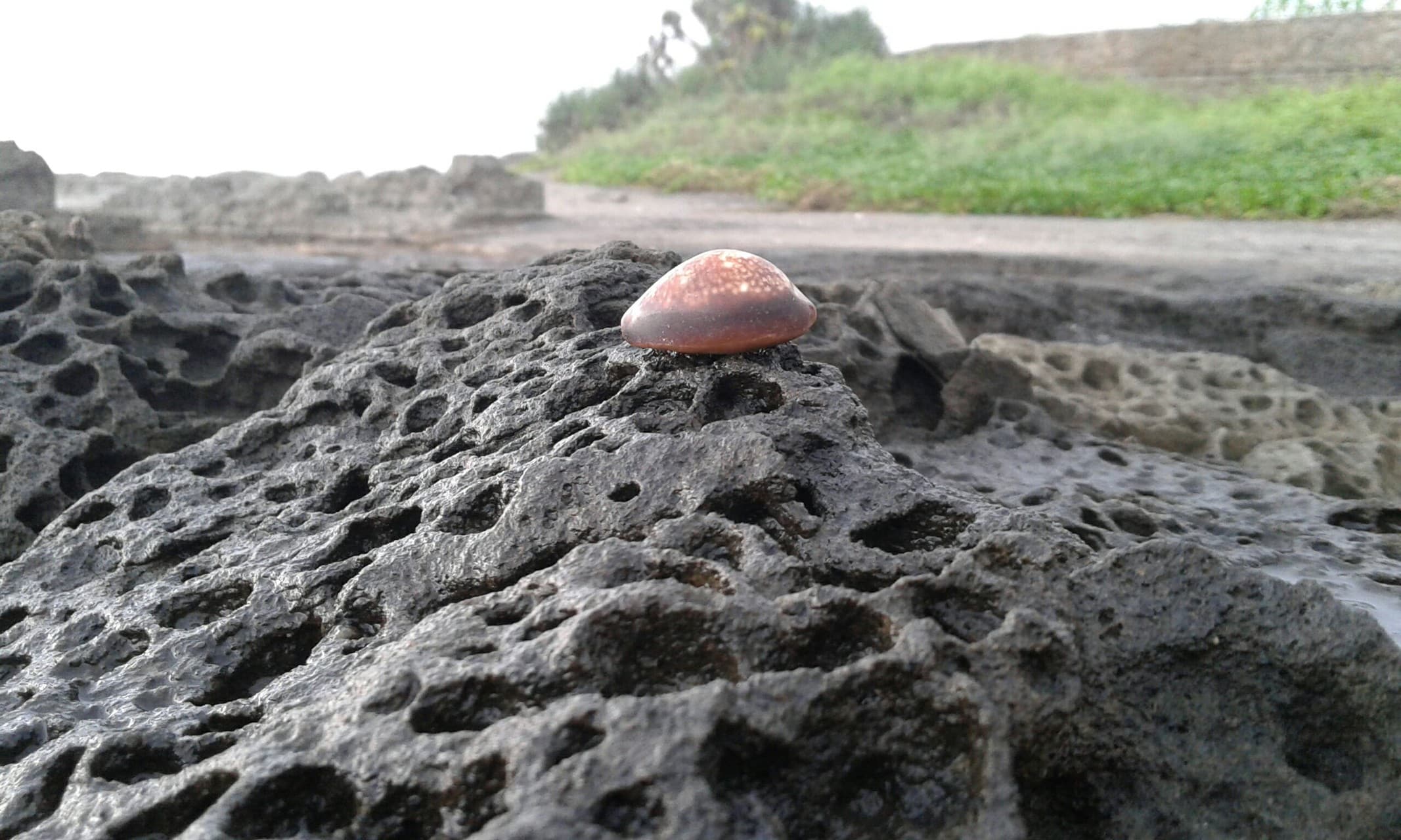 Look sea