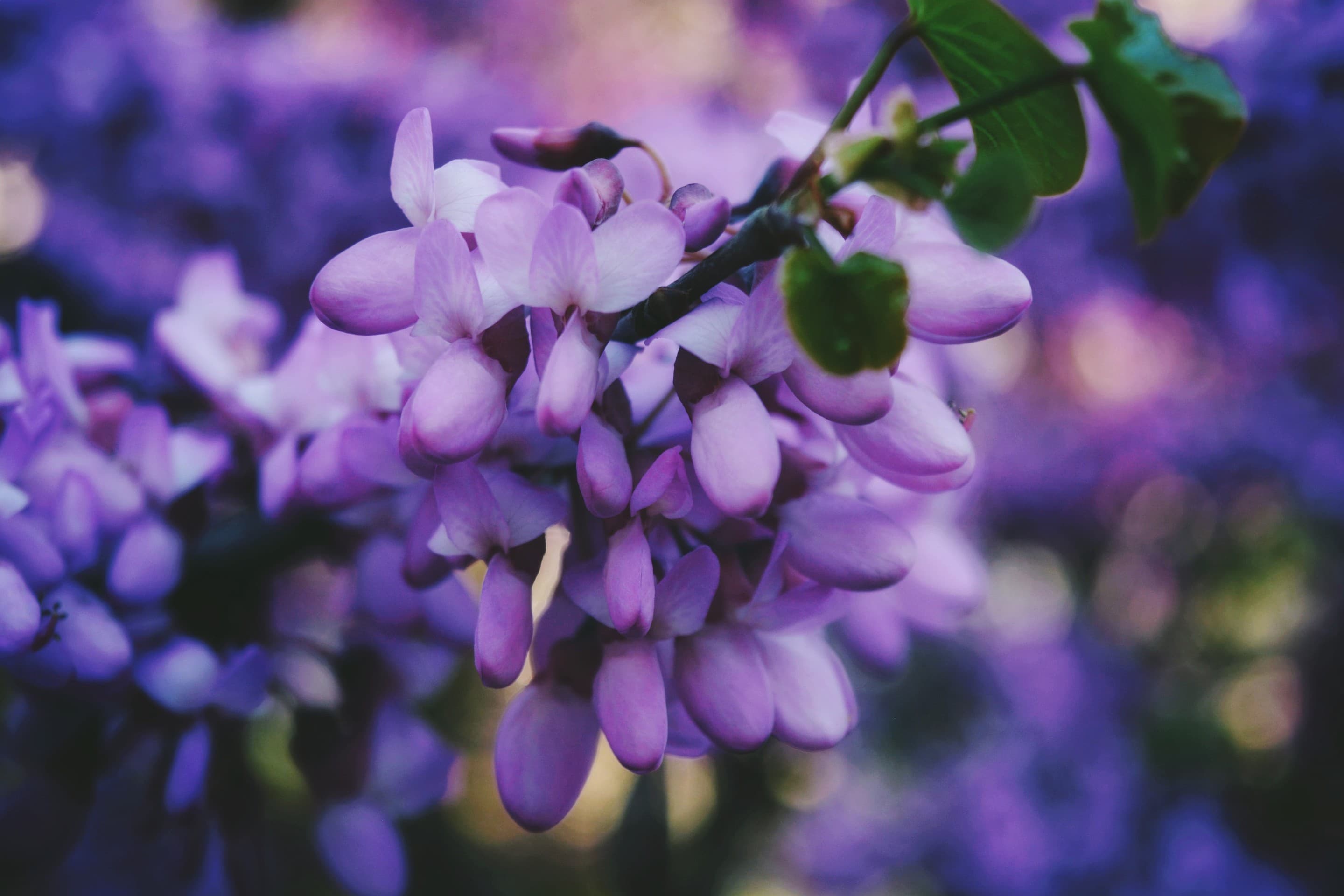 Природа