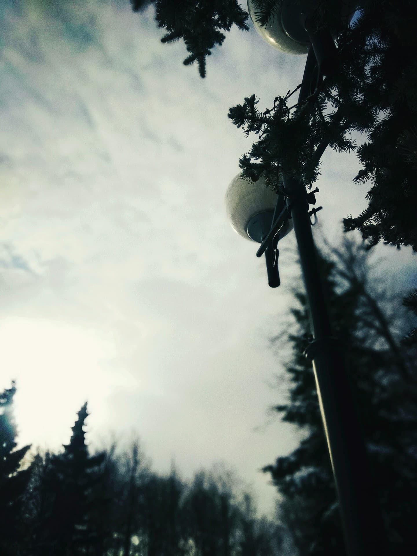 ☘