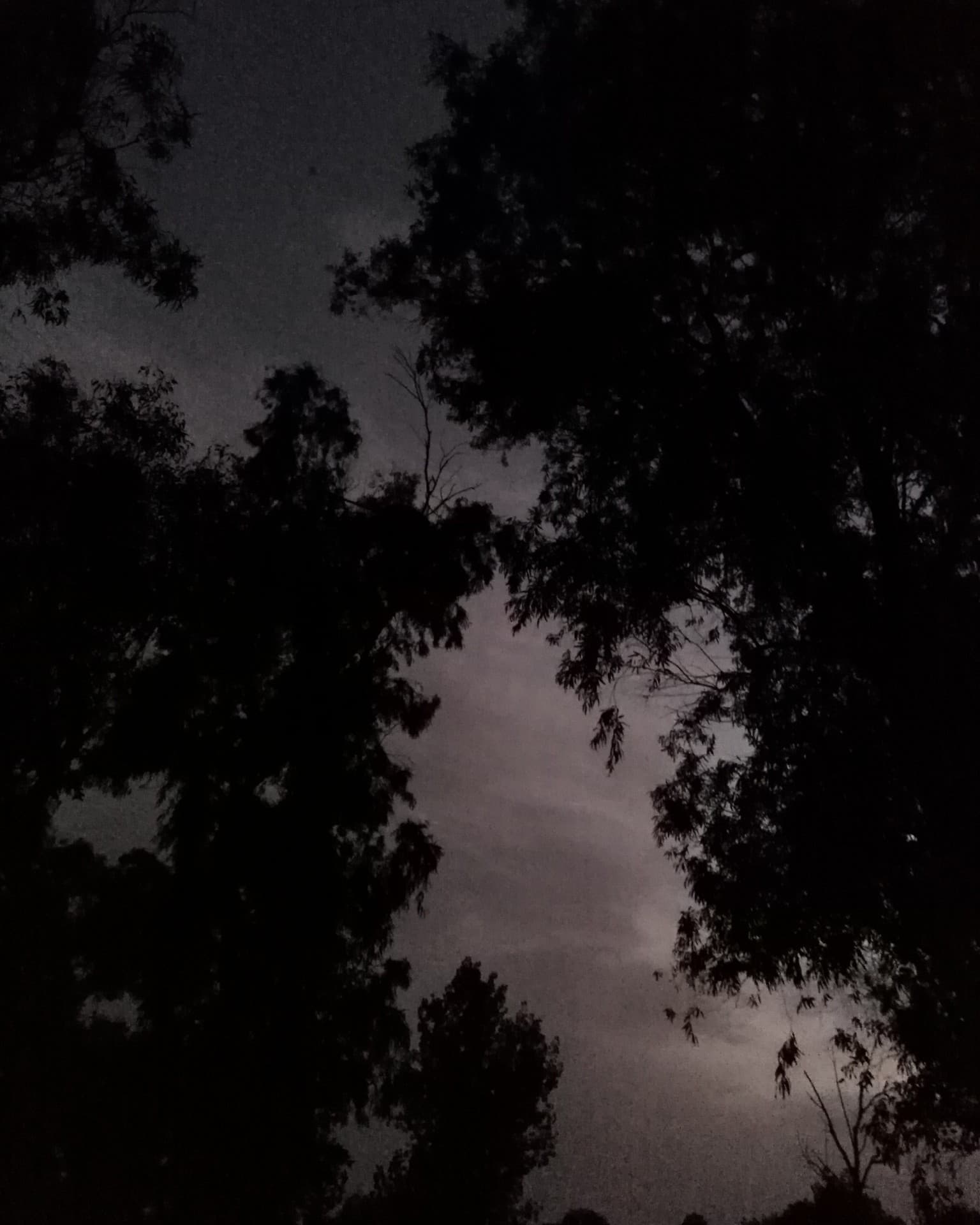 twilight