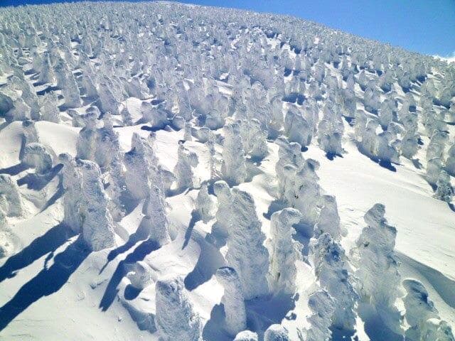 japan snow