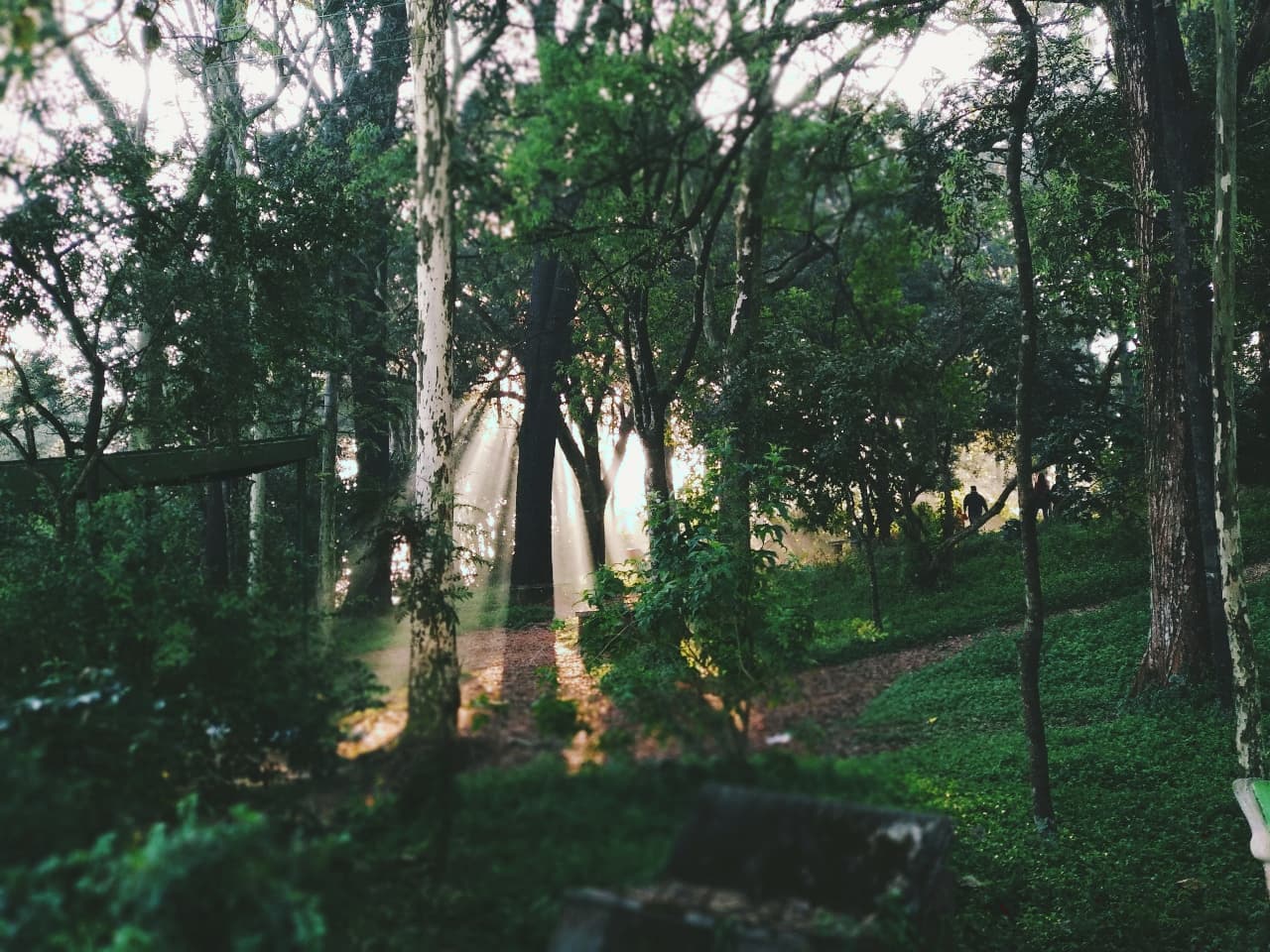 Sun Rising