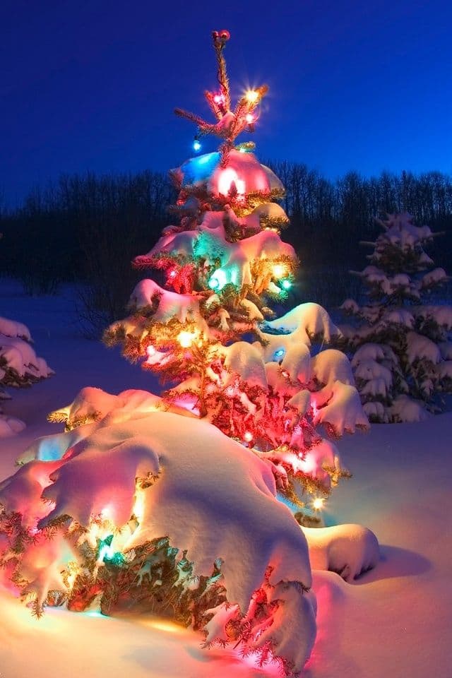 Christmas_tree
