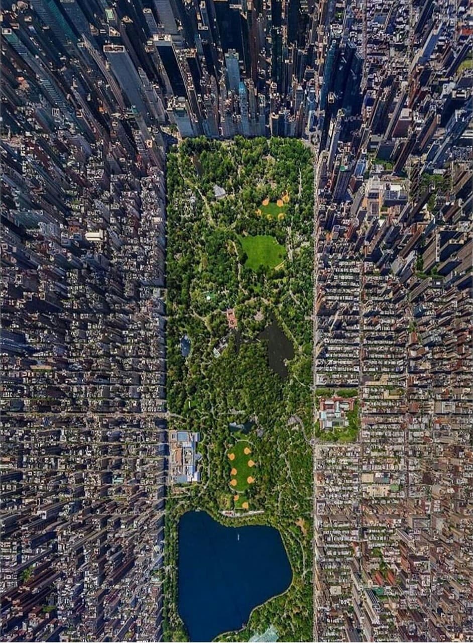 central park NYC