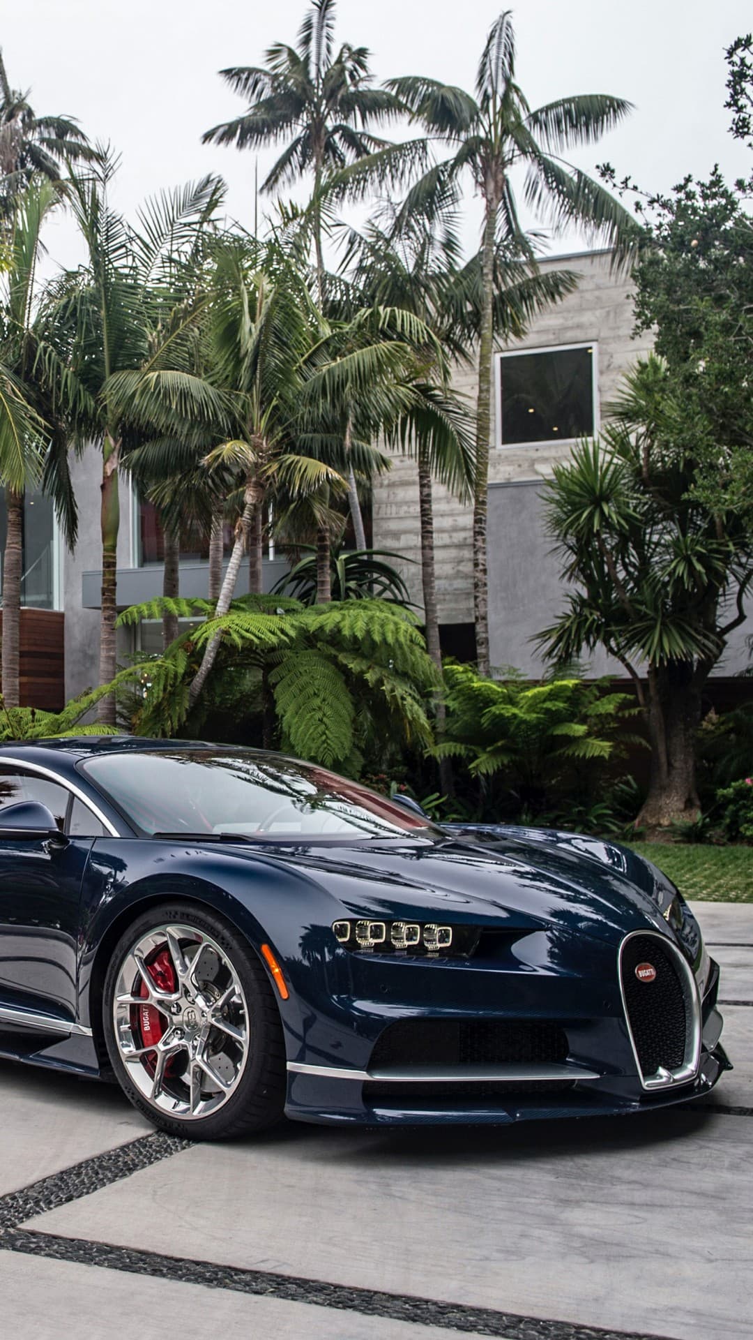 bugatti