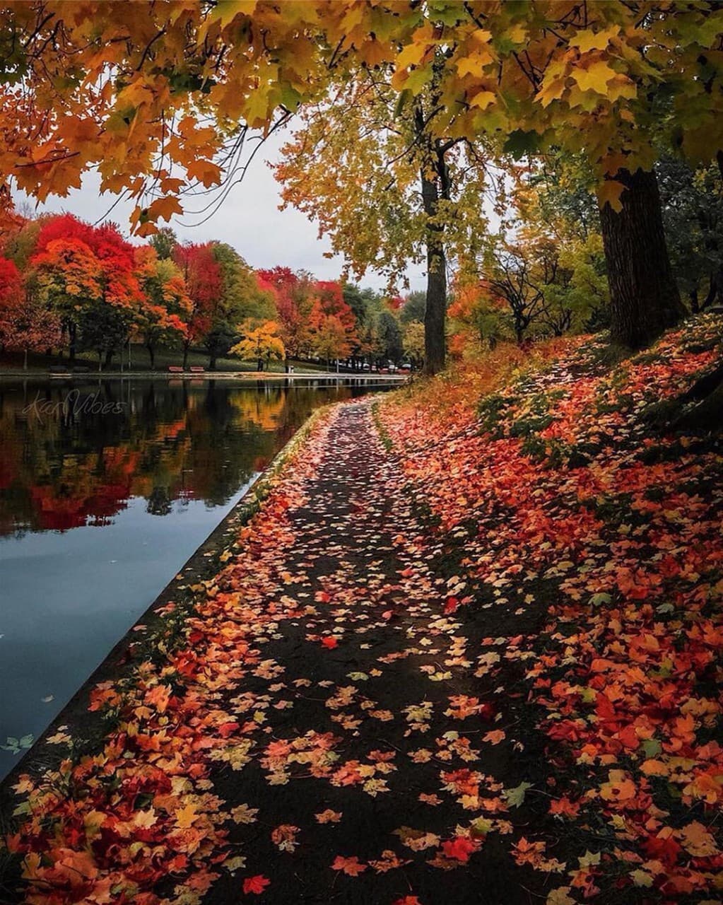 Autumn