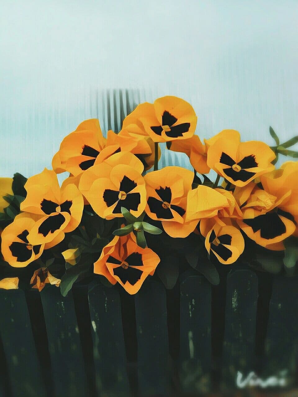 Yellow flowers:)