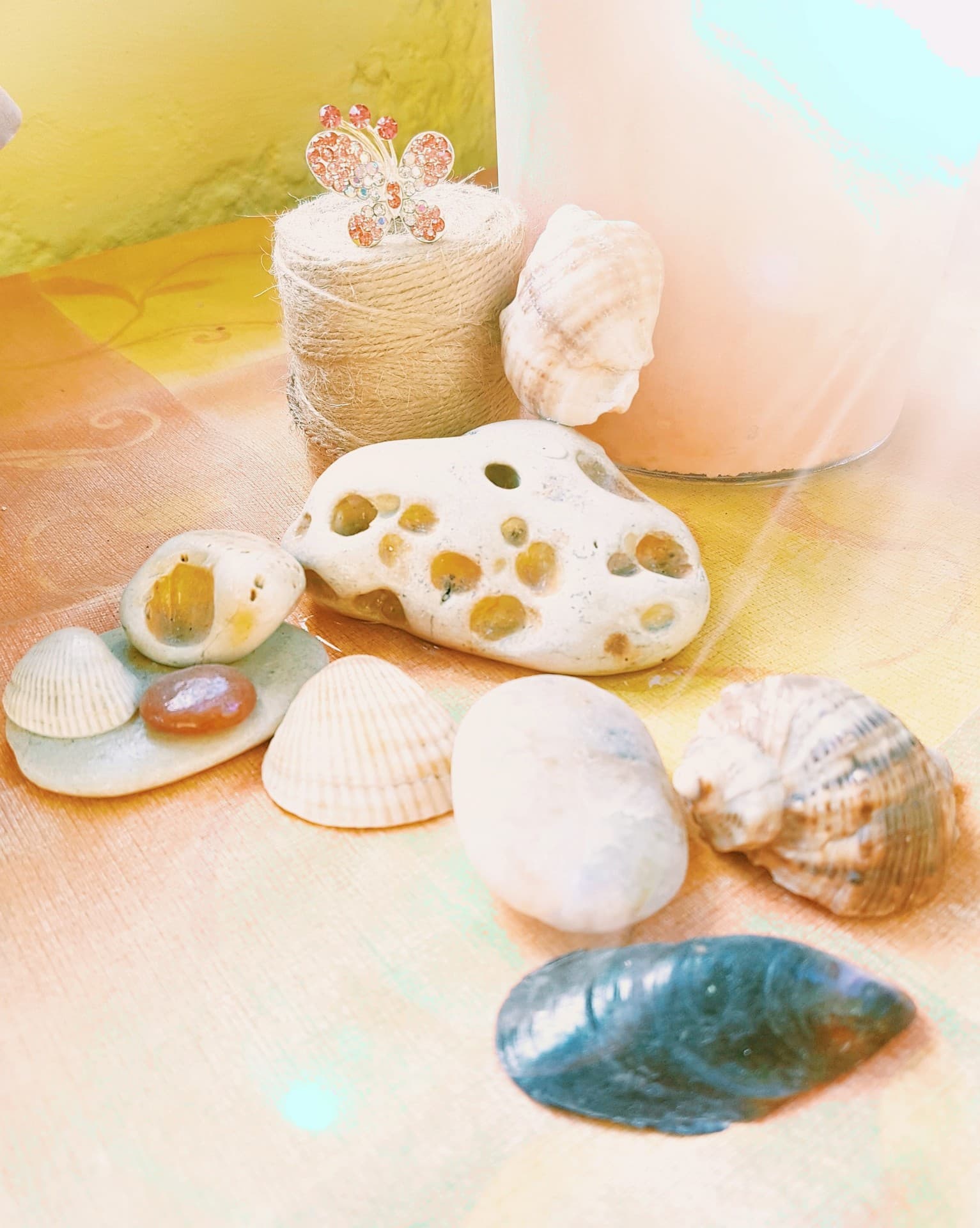 sea treasures