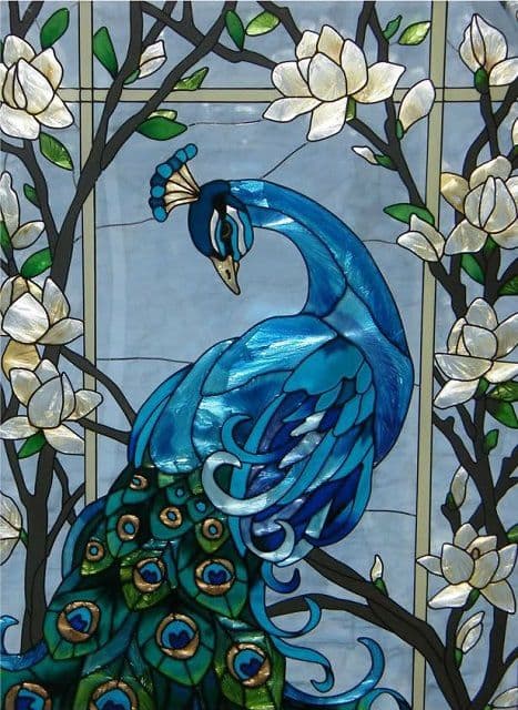 The Peacock bird