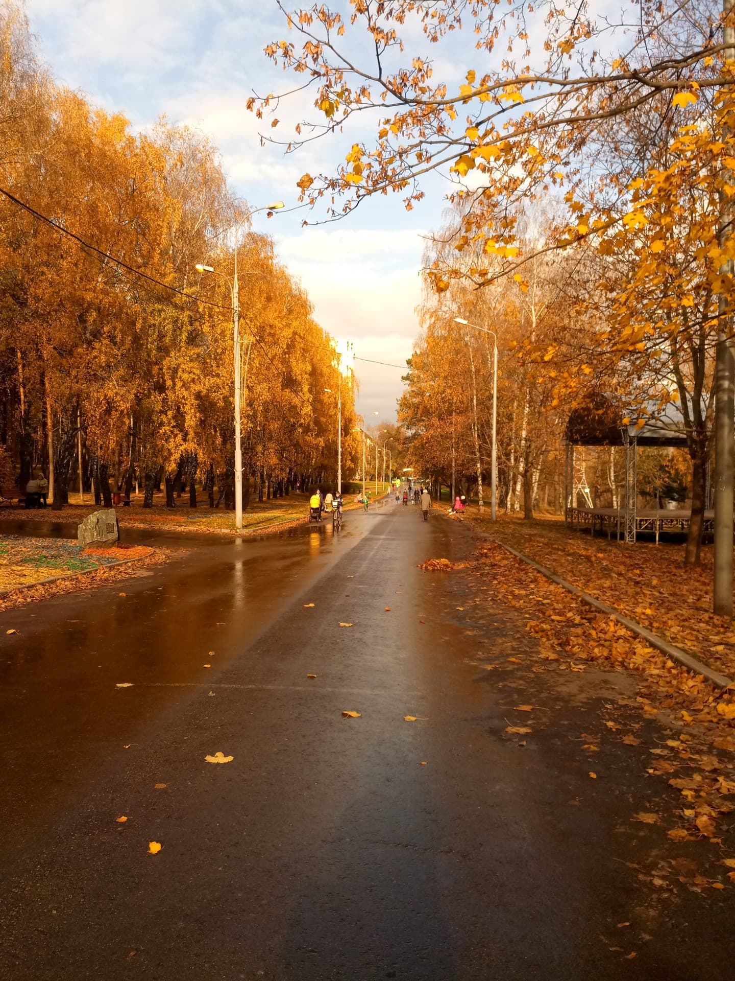 autumn